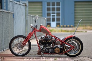 Daan - New Old Chopper