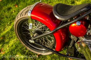Rear fender (70766FRE) with chrome mount