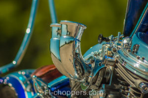 A few wild chalices on the polished carburetor